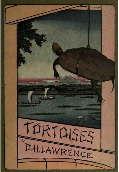 Tortoises