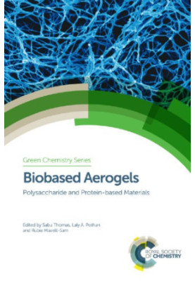 Biobased aerogels: polysaccharide and protein-based materials