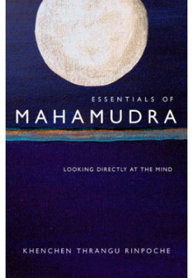 Essentials of Mahamudra: looking directly at the mind