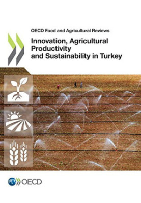 Innovation, Agricultural Productivity and Sustainability in Turkey