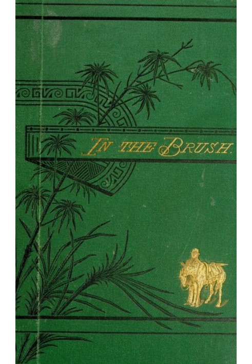 In the brush : $b or, Old-time social, political, and religious life in the southwest