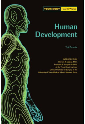 Human Development (Your Body, How It Works)