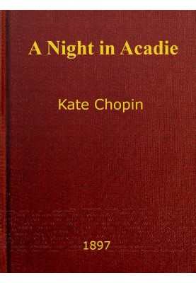 Captain Richard : $b novel