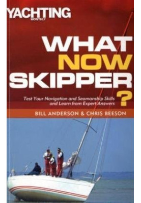 What Now Skipper?: Test Your Navigation and Seamanship Skills and Learn from Expert Answers