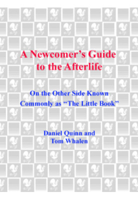 A newcomer's guide to the afterlife: on the other side known commonly as ''The little book''