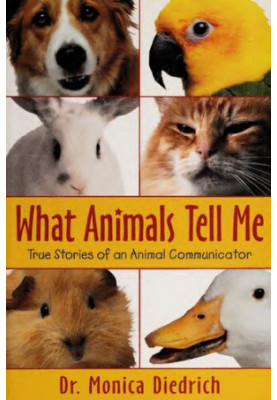What Animals Tell Me: True Stories of an Animal Communicator