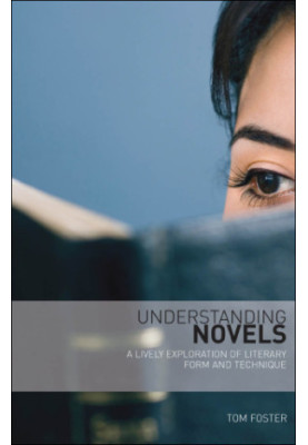 Understanding novels: a lively exploration of literary form and technique