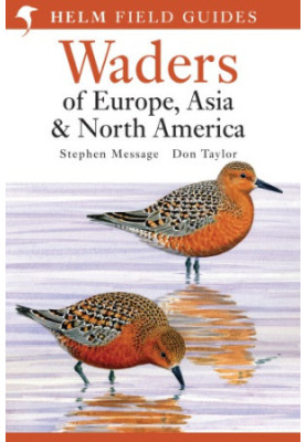 Waders of Europe, Asia and North America