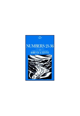 Numbers 21-36 (Anchor Yale Bible | AYB)
