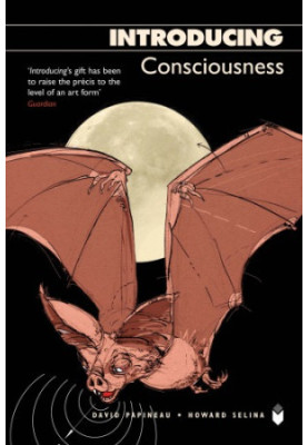 Introducing consciousness
