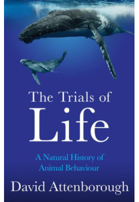The Trials of Life