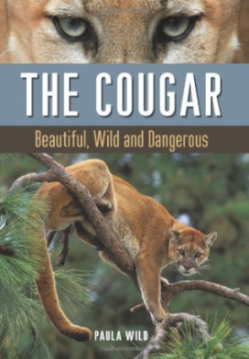 The Cougar : Beautiful, Wild and Dangerous
