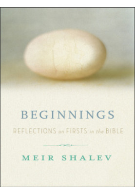 Beginnings: reflections on the Bible's intriguing firsts