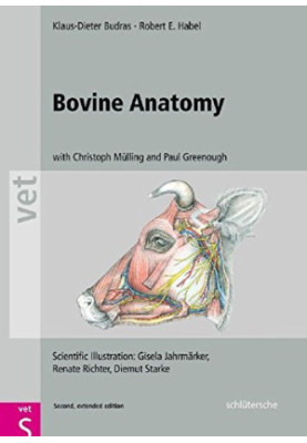 Bovine Anatomy: An Illustrated Text