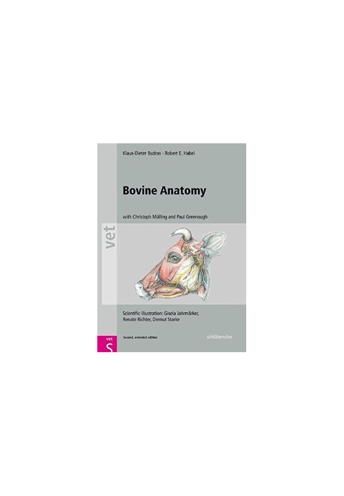Bovine Anatomy: An Illustrated Text