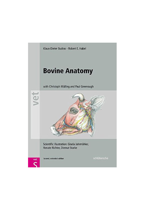 Bovine Anatomy: An Illustrated Text