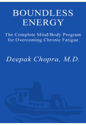 Boundless Energy