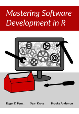 Mastering software development in R