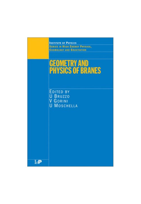 Geometry and physics of branes