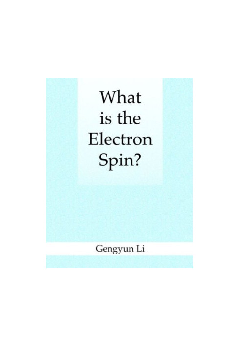 What is the Electron Spin?