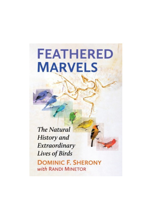 Feathered Marvels