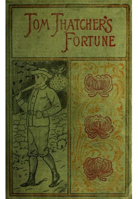 Tom Thatcher's Fortune