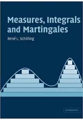 Measures, Integrals and Martingales: Solution Manual & Errata