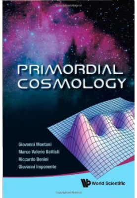 Primordial Cosmology