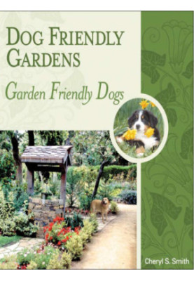Dog friendly gardens: garden friendly dogs