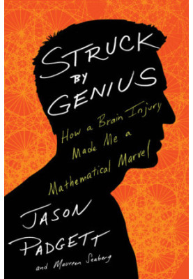 Struck by genius: how a brain injury made me a mathematical marvel