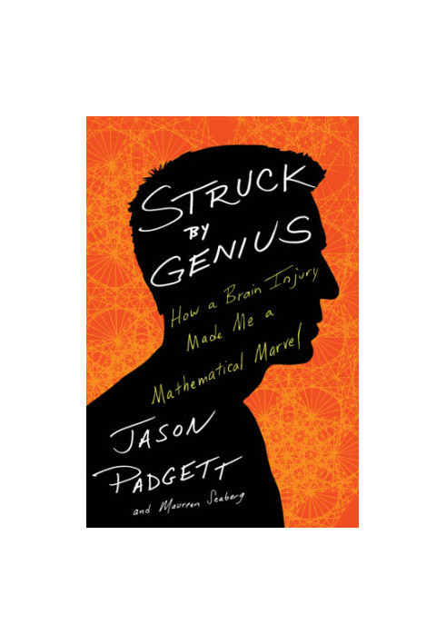 Struck by genius: how a brain injury made me a mathematical marvel