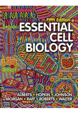 Essential Cell Biology
