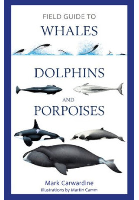 Field Guide to Whales, Dolphins and Porpoises