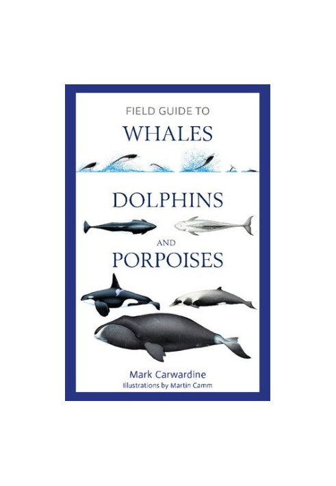 Field Guide to Whales, Dolphins and Porpoises