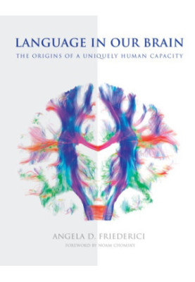 Language in Our Brain