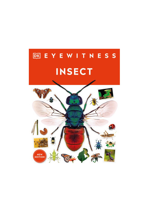 Insect (DK Eyewitness), New Edition