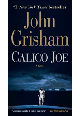 Calico Joe: A Novel