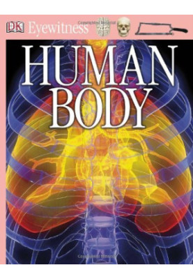 Human Body (DK Eyewitness)