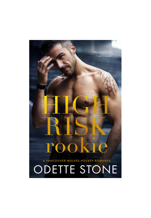 High Risk Rookie: A Vancouver Wolves Hockey Romance