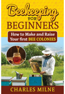Beekeeping for Beginners: How to Make and Raise Your first Bee Colonies