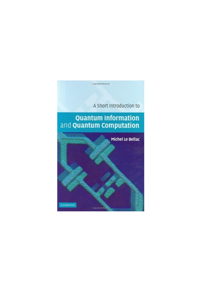 A short introduction to quantum information and computation