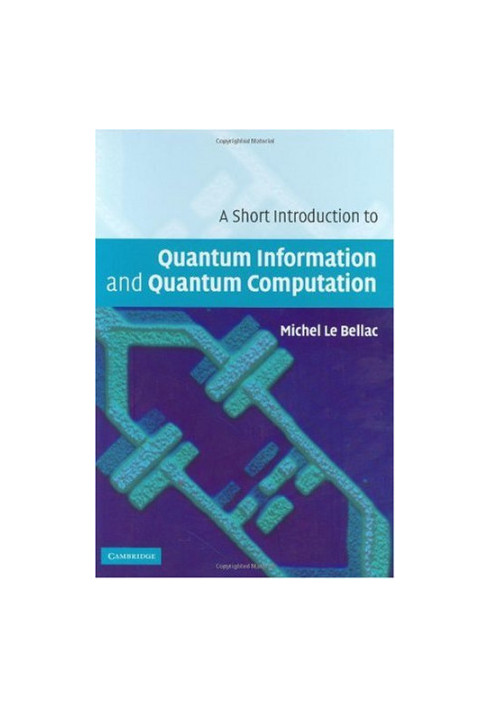A short introduction to quantum information and computation