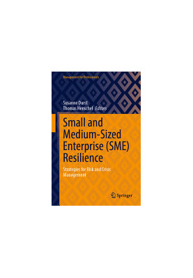 Small and Medium-Sized Enterprise (SME) Resilience: Strategies for Risk and Crisis Management