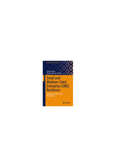 Small and Medium-Sized Enterprise (SME) Resilience: Strategies for Risk and Crisis Management