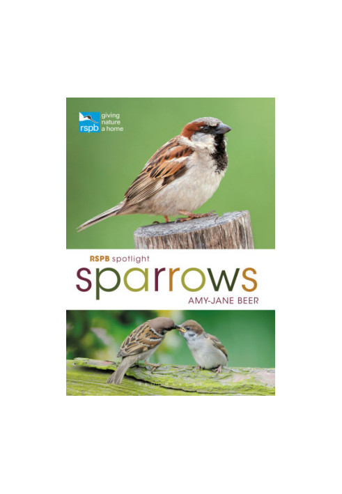 RSPB Spotlight Sparrows