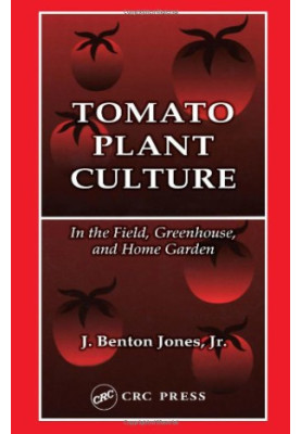 Tomato Plant Culture In the Field, Greenhouse, and Home Garden