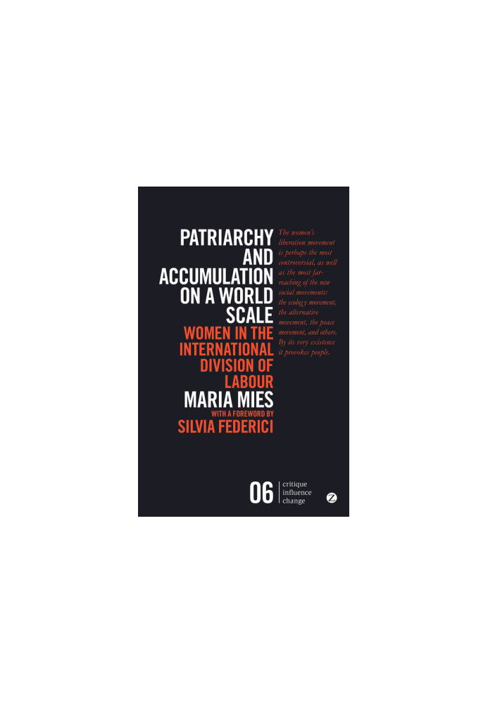 Patriarchy and Accumulation on a World Scale: Women in the International Division of Labour (Critique Influence Change)