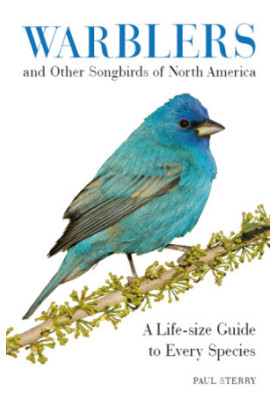Warblers and Other Songbirds of North America: A Life-Size Guide to Every Species