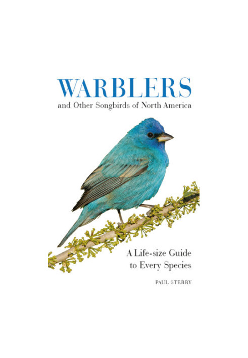 Warblers and Other Songbirds of North America: A Life-Size Guide to Every Species