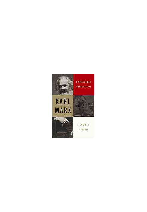 Karl Marx : a nineteenth-century life